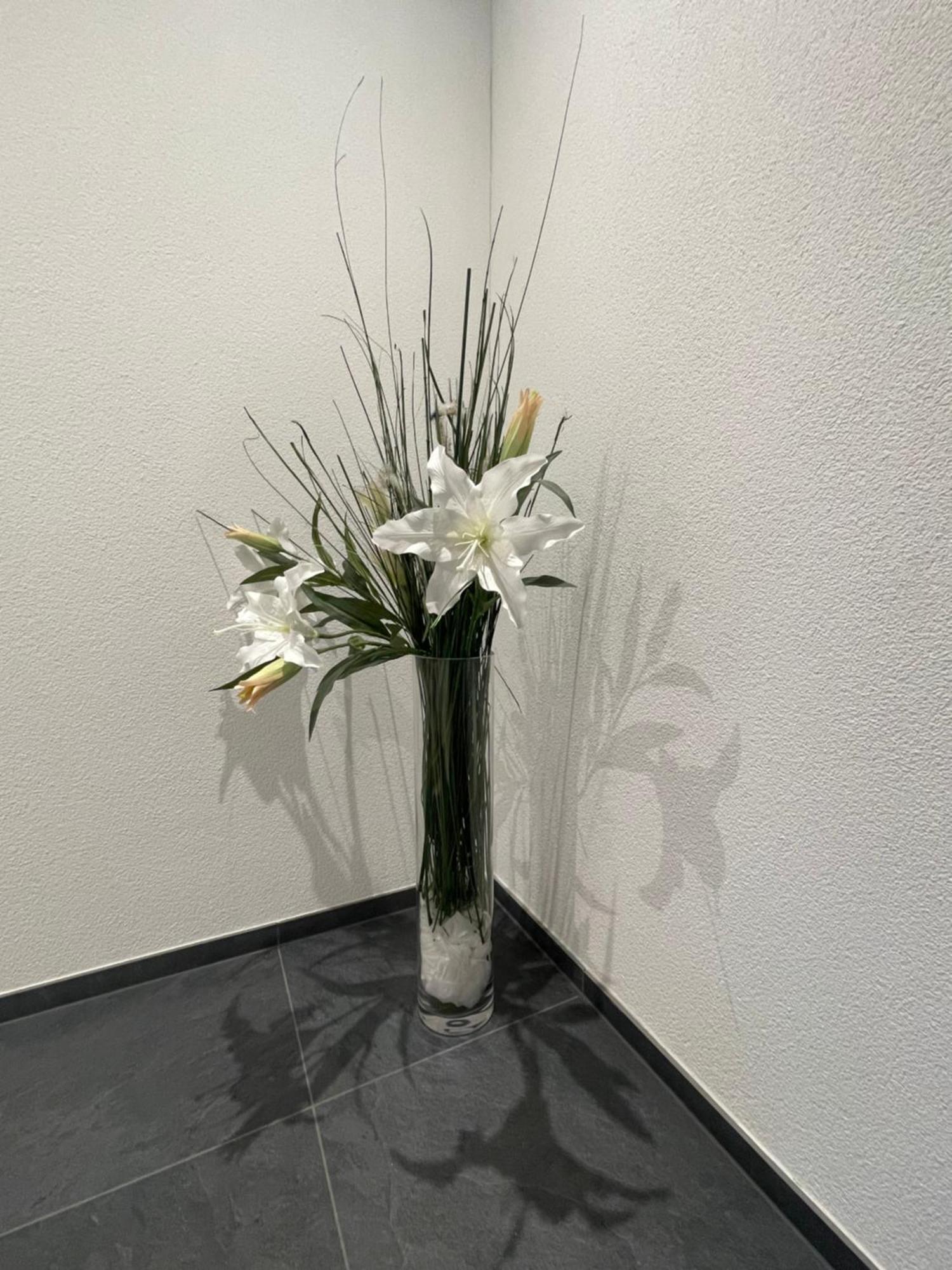 V.I.P Appartement Böttstein المظهر الخارجي الصورة
